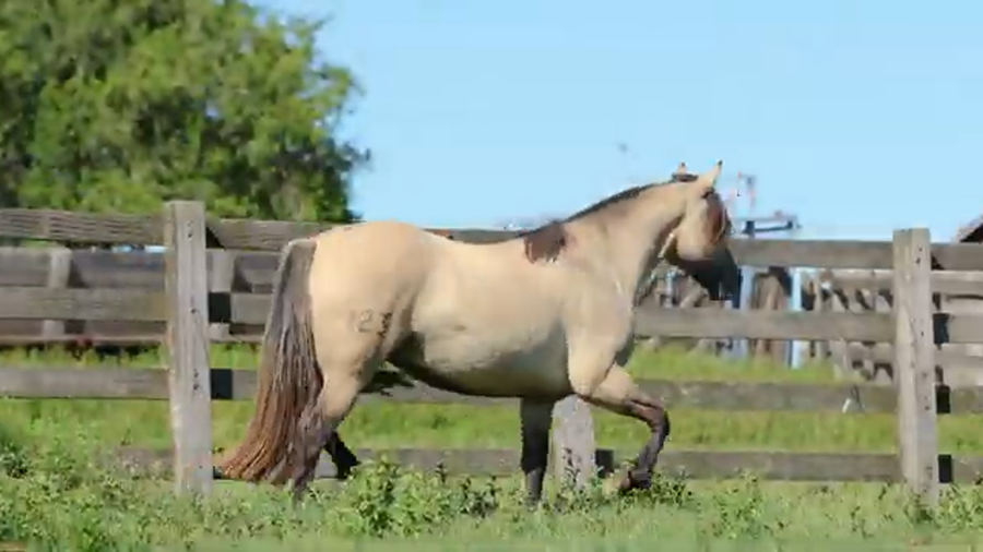 Lote BRISA DE LA RESERVA