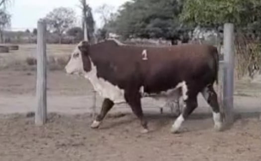 Lote CABAÑA LOS NINOS