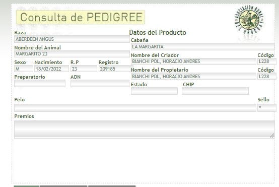 Lote TORO PI - RP 23