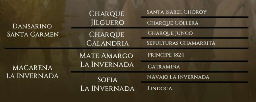 Lote Santa Gloria Malanena