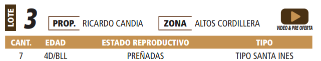 Lote LOTE 3 -POR PANTALLA