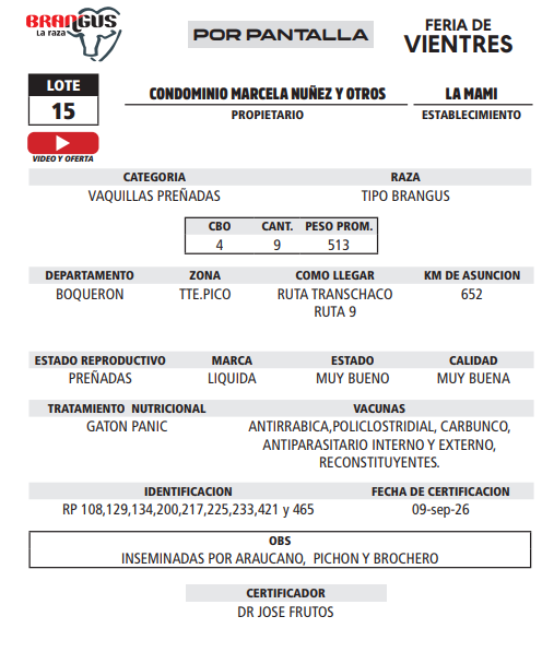 Lote LOTE 15 - POR PANTALLA