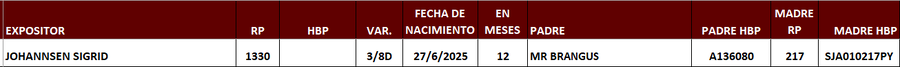 Lote LOTE 20