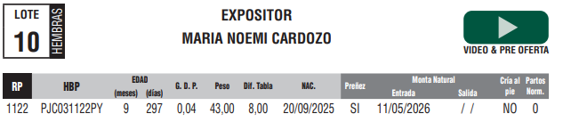 Lote LOTE 10