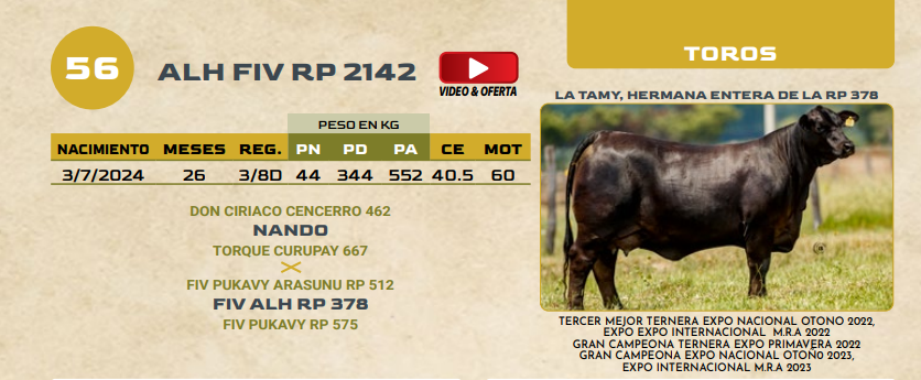 Lote LOTE 56
