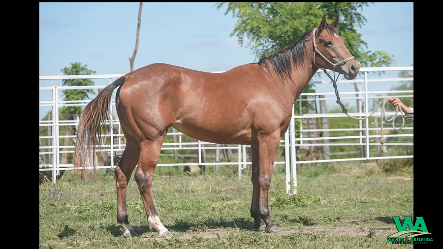 Lote EE NEW HOPE POINT