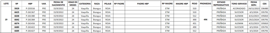 Lote LOTE 19