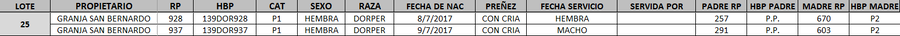 Lote LOTE 25