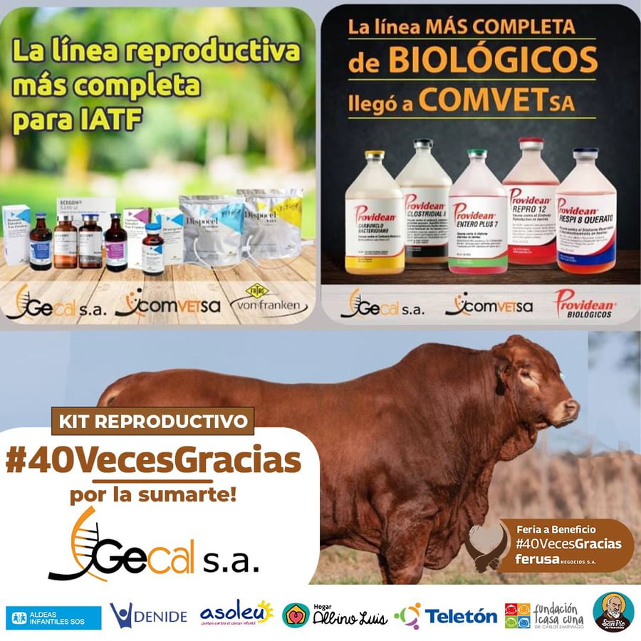 Lote 50 KITS REPRODUCTIVOS