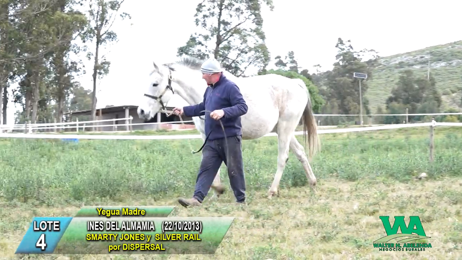 Lote INES DEL ALMAMIA