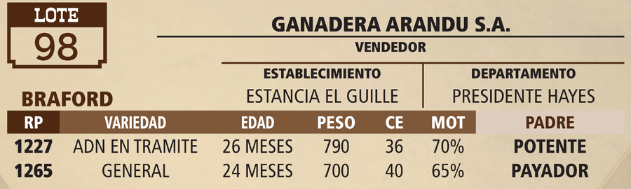 Lote LOTE 98 - VIVO