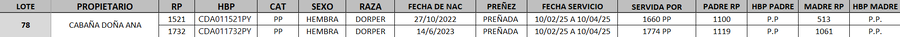 Lote LOTE 78