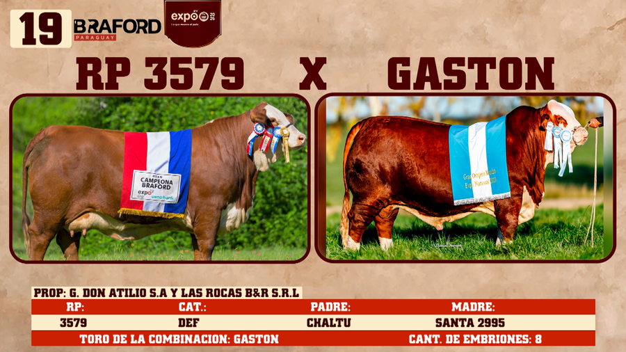 Lote LOTE 19