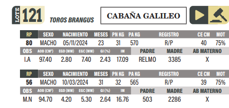 Lote LOTE 121
