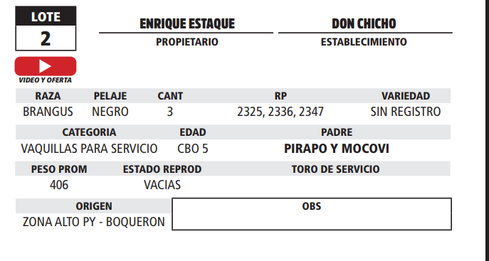 Lote LOTE 2 - EN VIVO
