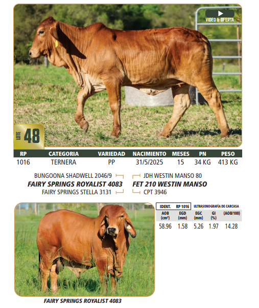 Lote LOTE 48