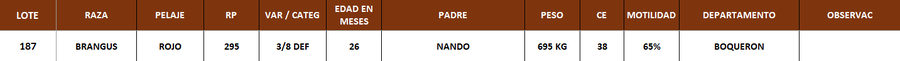 Lote LOTE 187