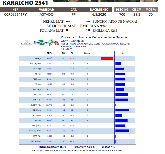 Lote LOTE 29