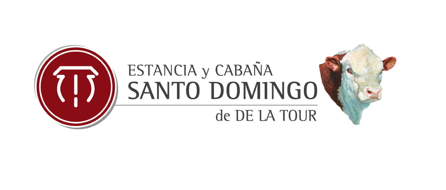 Lote Vaquillonas PR (preñadas)