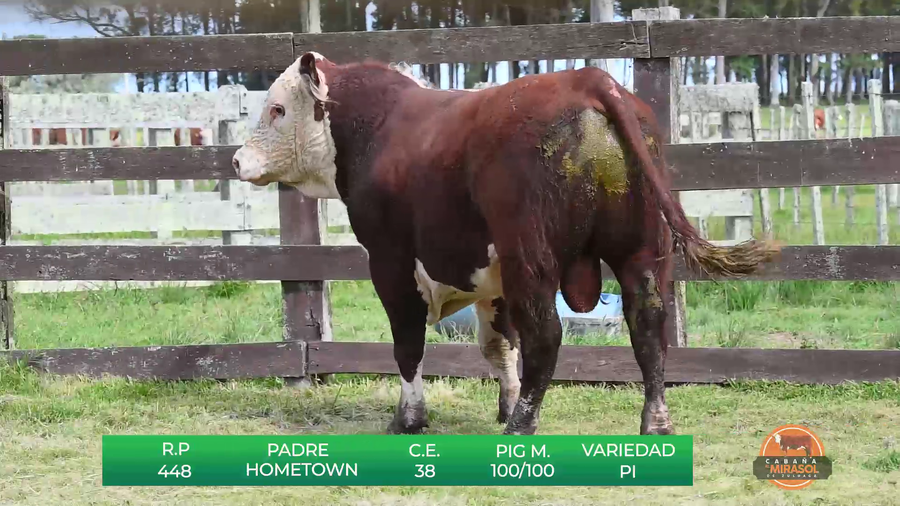 Lote MIRASOL HOMETOWN