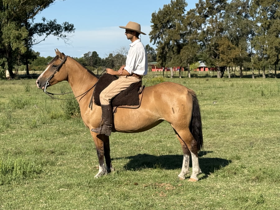 Lote CANGALLA FORTIN