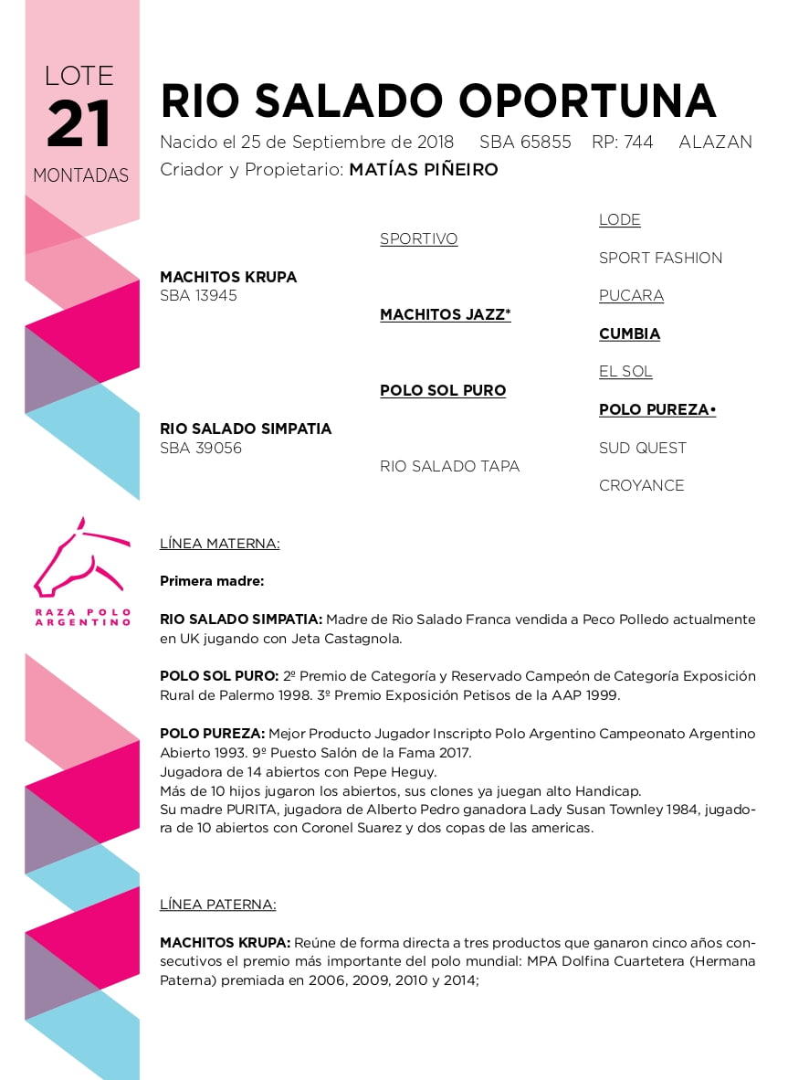 Lote RIO SALADO OPORTUNA (MACHITOS KRUPA - RIO SALADO SIMPATIA)