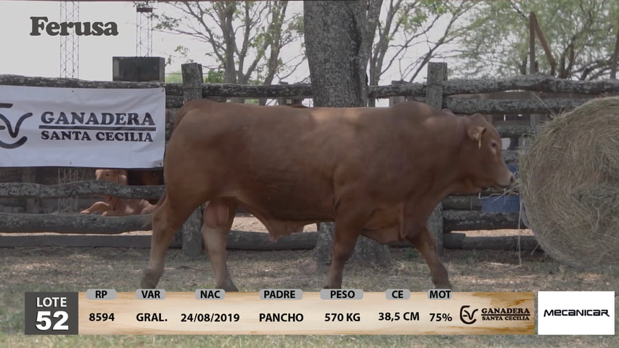 Lote Ganadera Santa Cecilia - Lote 52