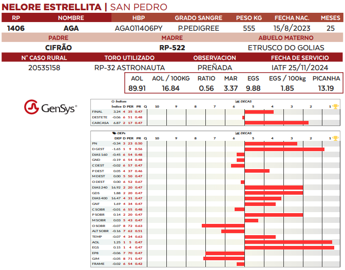Lote LOTE 31