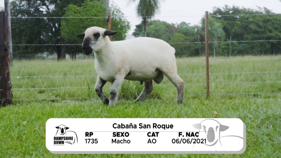 Lote LOTE 10 BOZAL - RP 1735