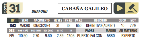 Lote LOTE 31