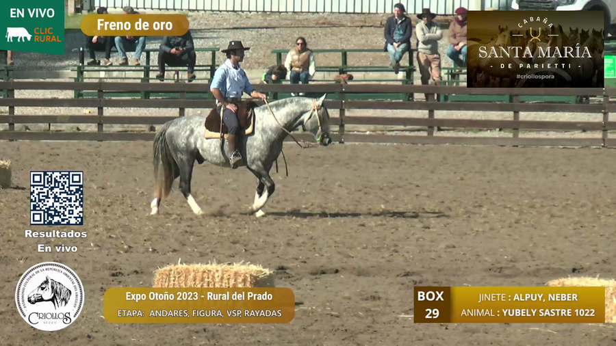 Lote YUBELY SASTRE 1022 - MUSSELLI BENEDETTO, CESAR ANDRES