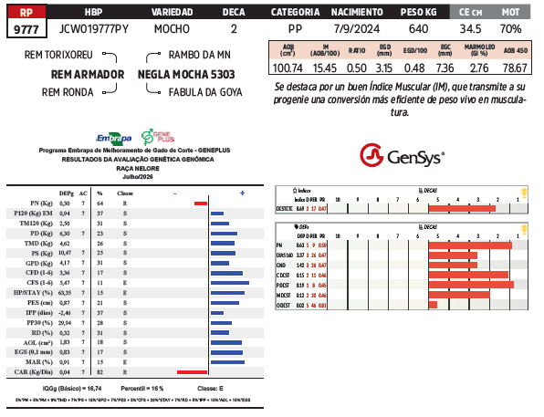 Lote LOTE 63