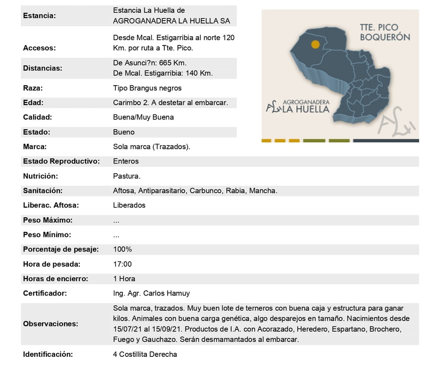 Lote Lote 16