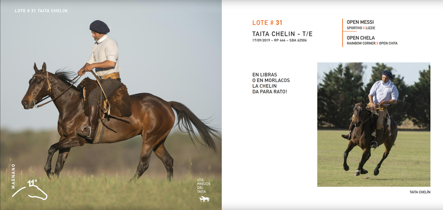 Lote TAITA CHELIN - T/E (OPEN MESSI - OPEN CHELA)