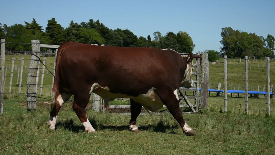 Lote "Doña Elisa", RP 1078