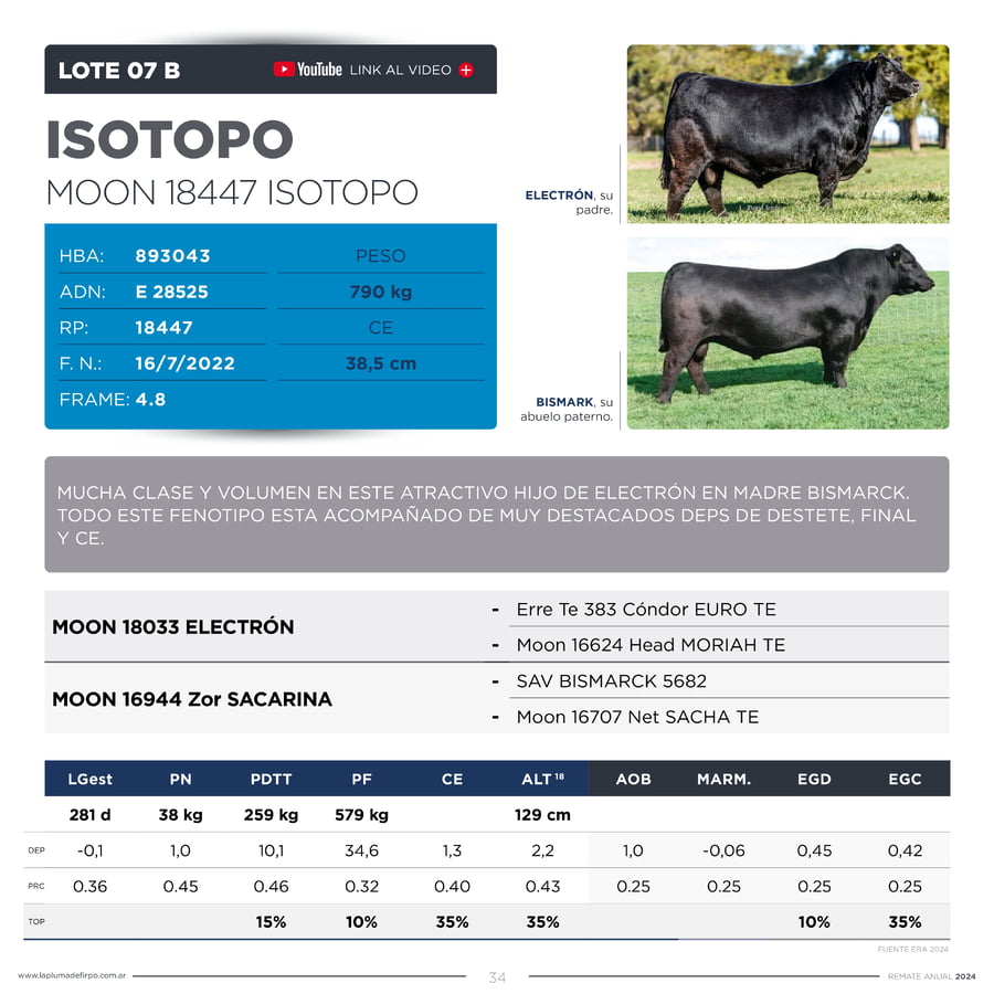Lote TOROS PP DESTACADOS