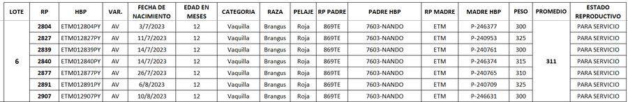 Lote LOTE 6