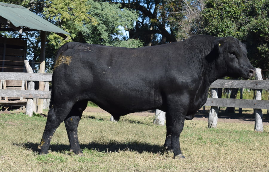 Lote CABAÑA “COEMBOTÁ” de Calderón RP 093