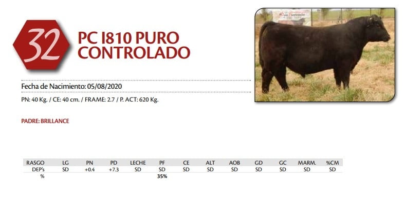 Lote TORO