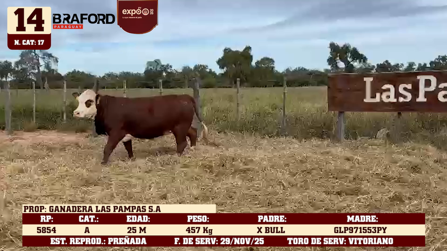 Lote LOTE 14