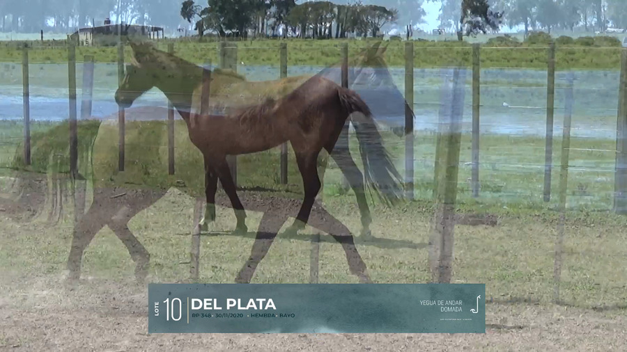 Lote Yeguarizos a remate en Criollos, Montevideo