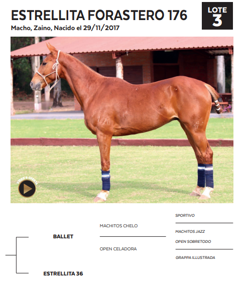 Lote LOTE 3