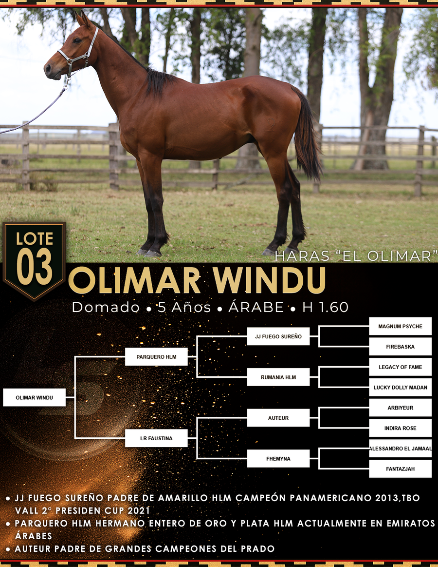 Lote OLIMAR WINDU