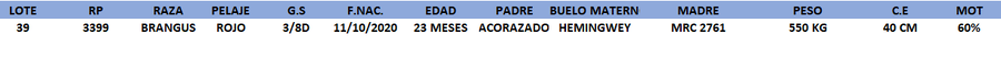 Lote LOTE 39