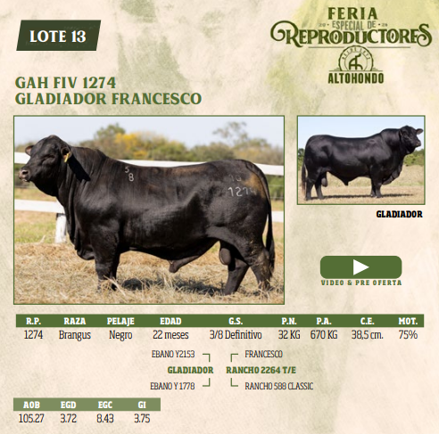 Lote LOTE 13