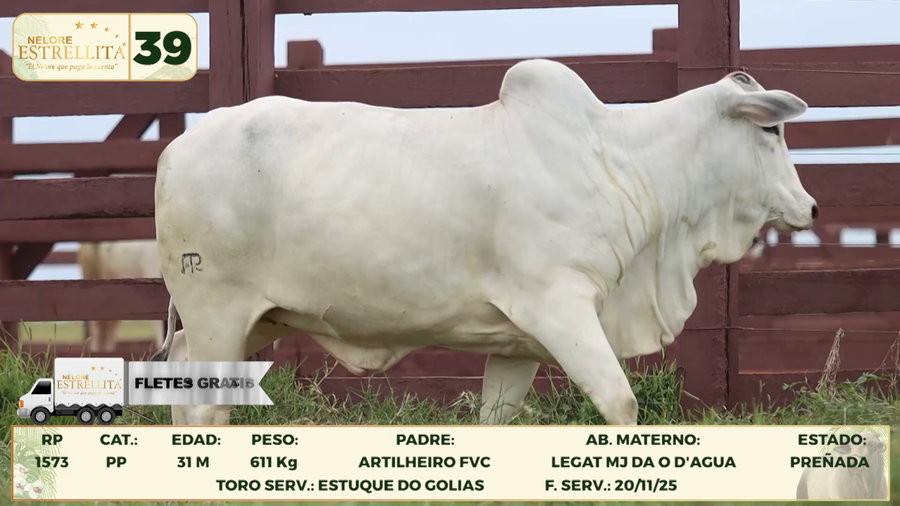 Lote LOTE 39
