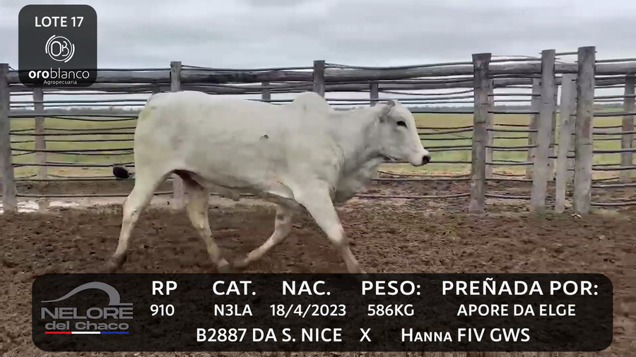 Lote LOTE 17