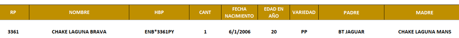 Lote LOTE 19