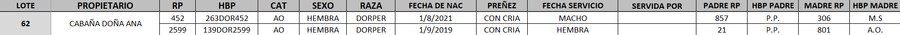 Lote LOTE 62- DESTACADO