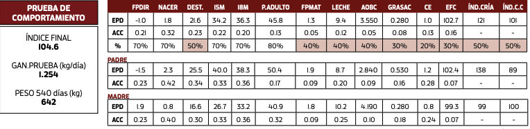 Lote SATUR FEST.4665/4911